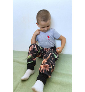 Trousers Softshell Dino 3D